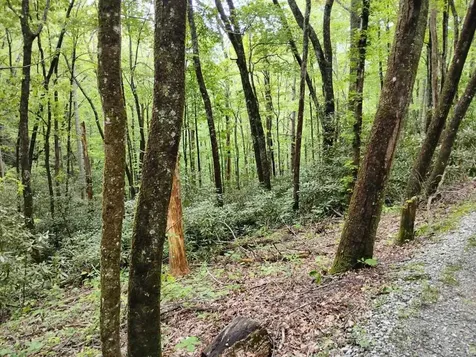 0 Highland Gap Scaly Mountain NC 28775