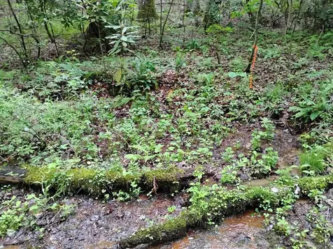 0 Highland Gap Scaly Mountain NC 28775