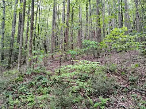 0 Highland Gap Scaly Mountain NC 28775