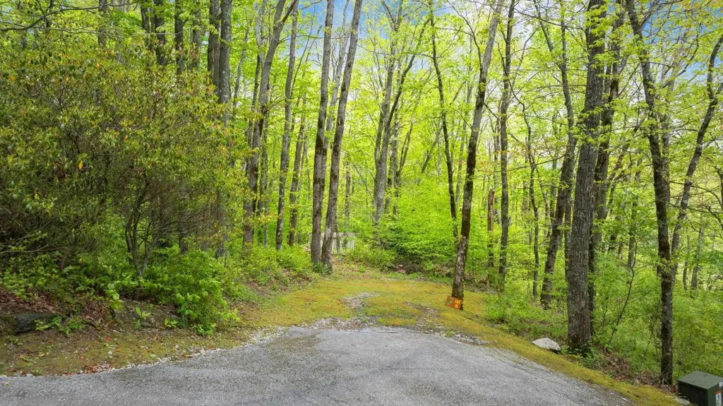 Lot 10 Highlands Point Highlands NC 28741