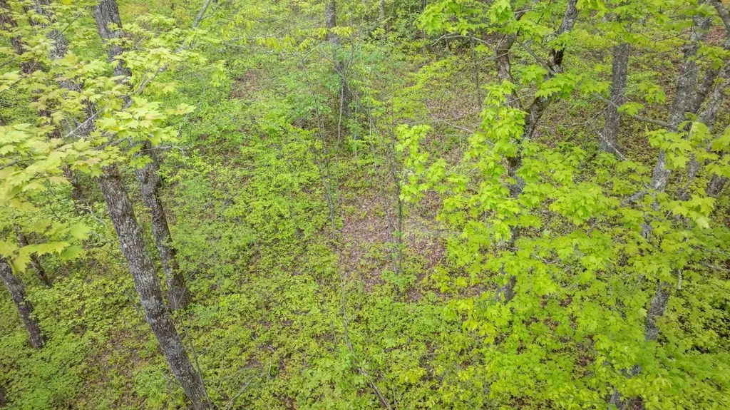 Lot 10 Highlands Point Highlands NC 28741