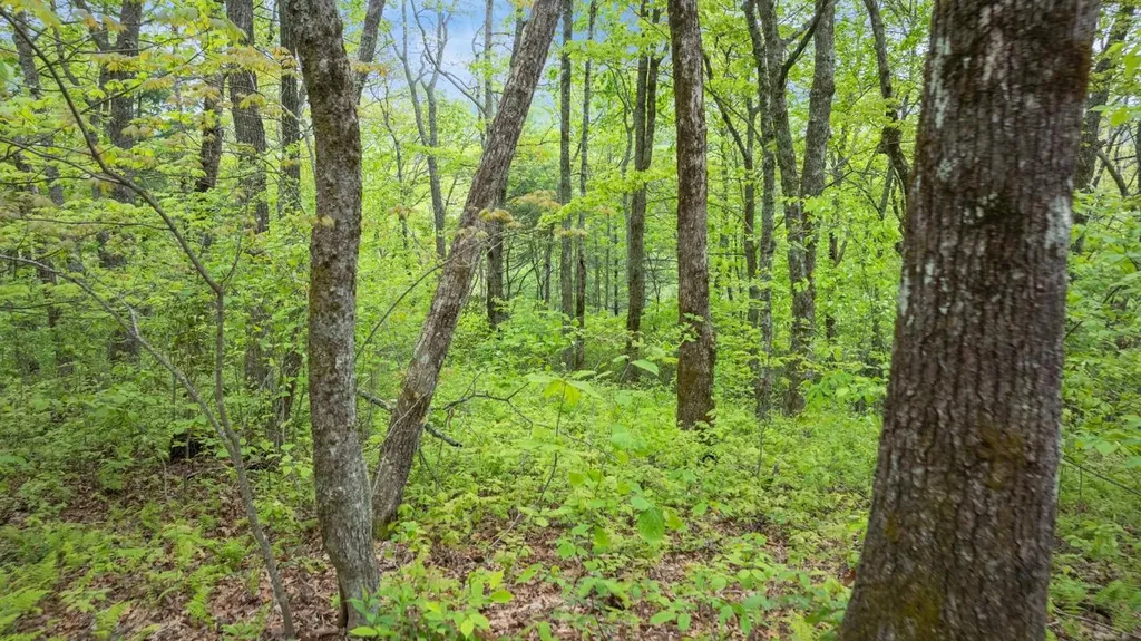 Lot 10 Highlands Point Highlands NC 28741