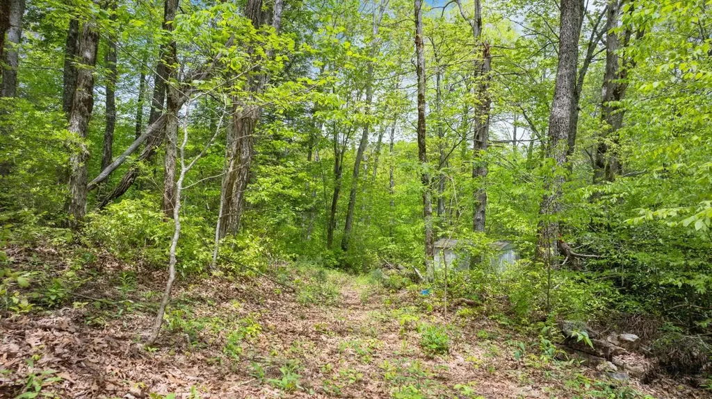 Lot 10 Highlands Point Highlands NC 28741