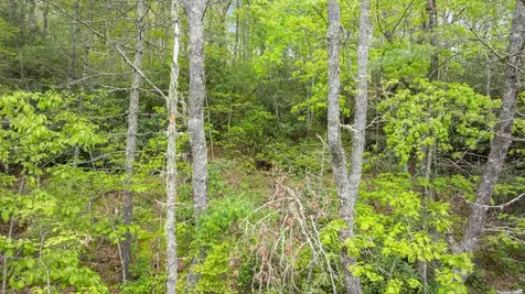 Lot 10 Highlands Point Highlands NC 28741