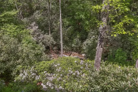 46 White Dogwood Court Sapphire NC 28774