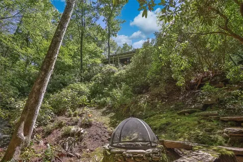 46 White Dogwood Court Sapphire NC 28774