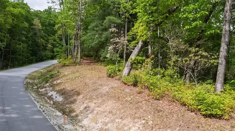 Lt 162 Lonesome Valley Road Sapphire NC 28774