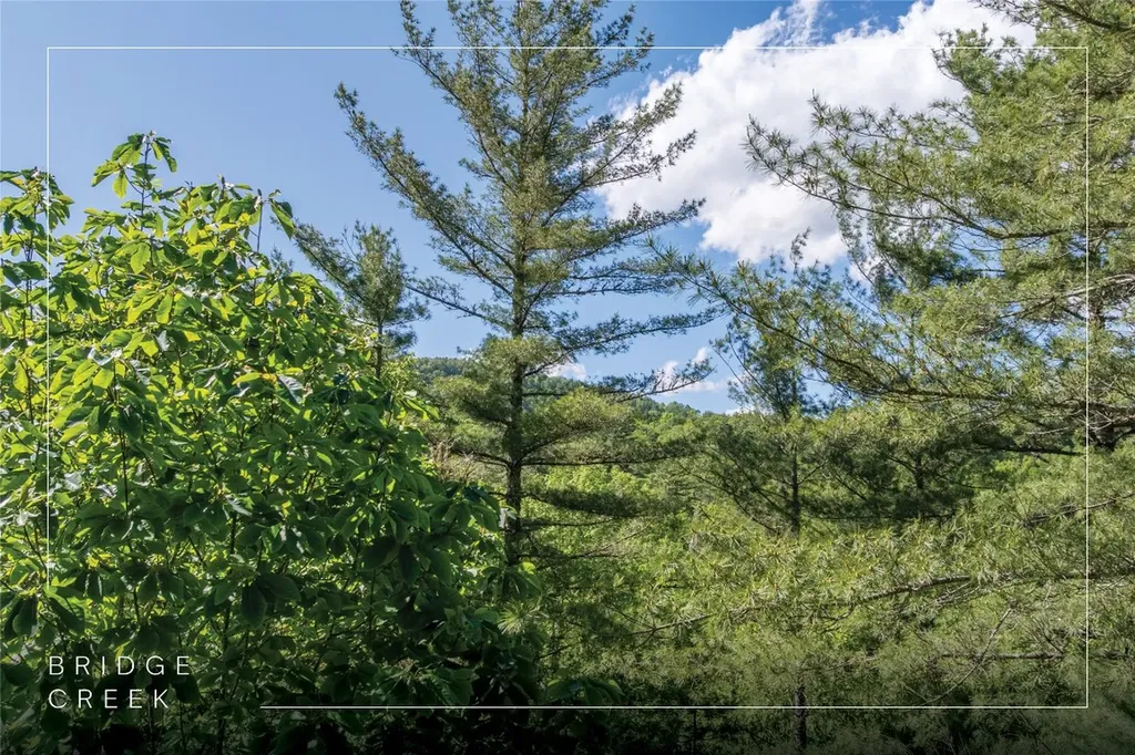 Lot 82 Fishing Village Lane Cullowhee NC 28723