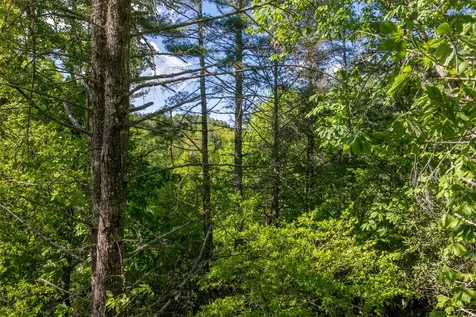 Lot 82 Fishing Village Lane Cullowhee NC 28723