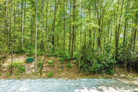 5 N Ridgeline Road Cullowhee NC 28723