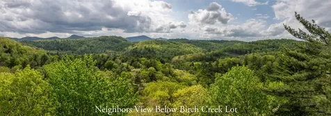 Tbd Birch Creek Trail Cashiers NC 28717