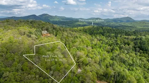 Tbd Birch Creek Trail Cashiers NC 28717