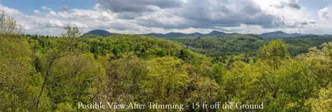 Tbd Birch Creek Trail Cashiers NC 28717