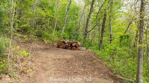 Tbd Birch Creek Trail Cashiers NC 28717