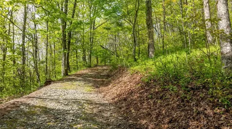 Tbd Birch Creek Trail Cashiers NC 28717