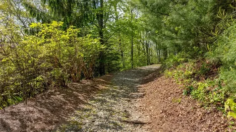 Tbd Birch Creek Trail Cashiers NC 28717