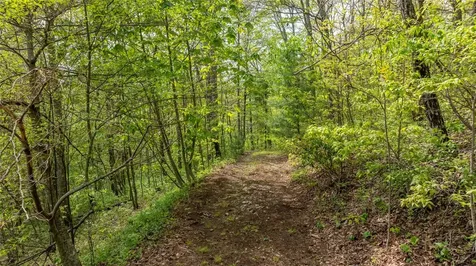 Tbd Birch Creek Trail Cashiers NC 28717