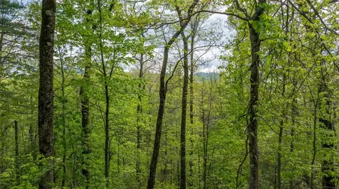 Tbd Birch Creek Trail Cashiers NC 28717