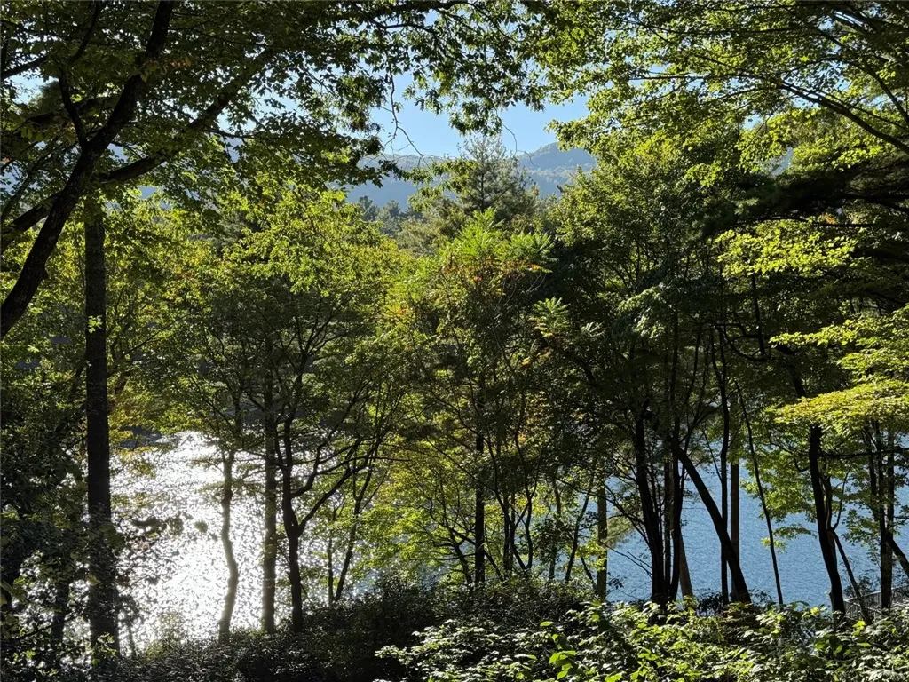 1957 Cold Mountain Road Lake Toxaway NC 28747