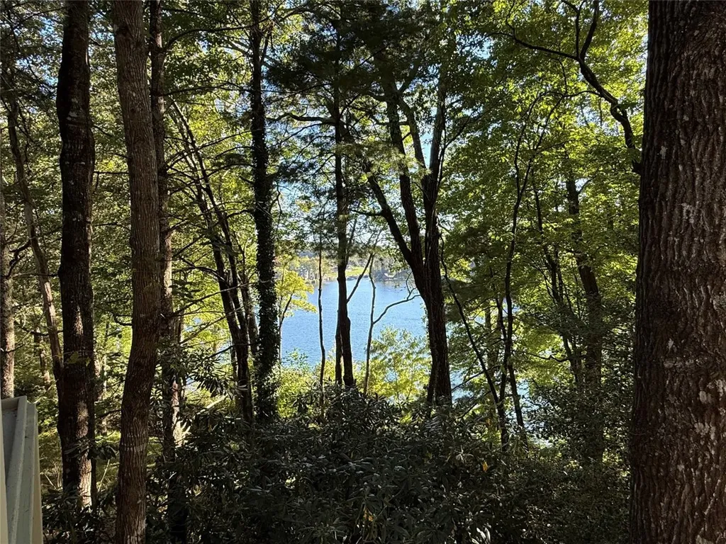 1957 Cold Mountain Road Lake Toxaway NC 28747