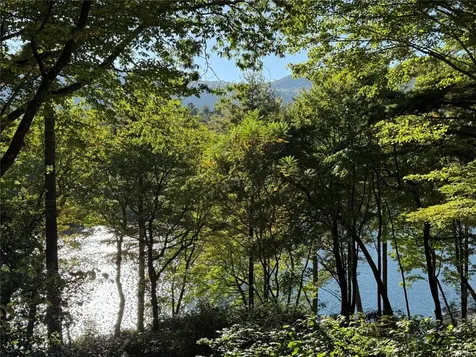 1957 Cold Mountain Road Lake Toxaway NC 28747