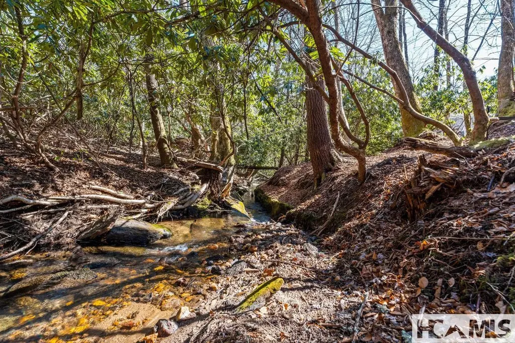 90 Jones Hollow Road 28723 Cullowhee NC 28723