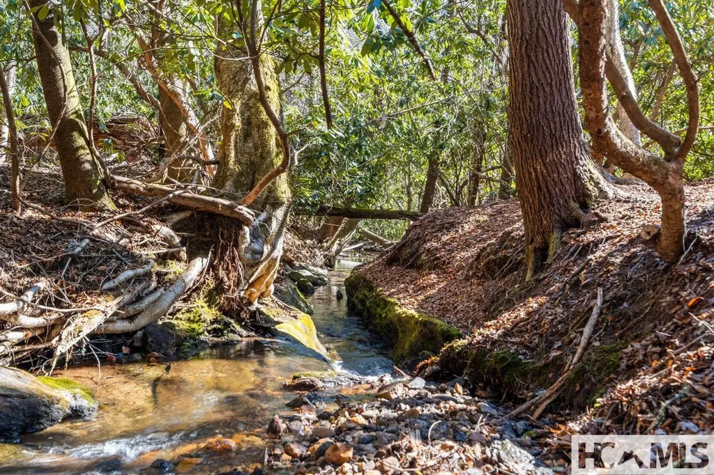 90 Jones Hollow Road 28723 Cullowhee NC 28723