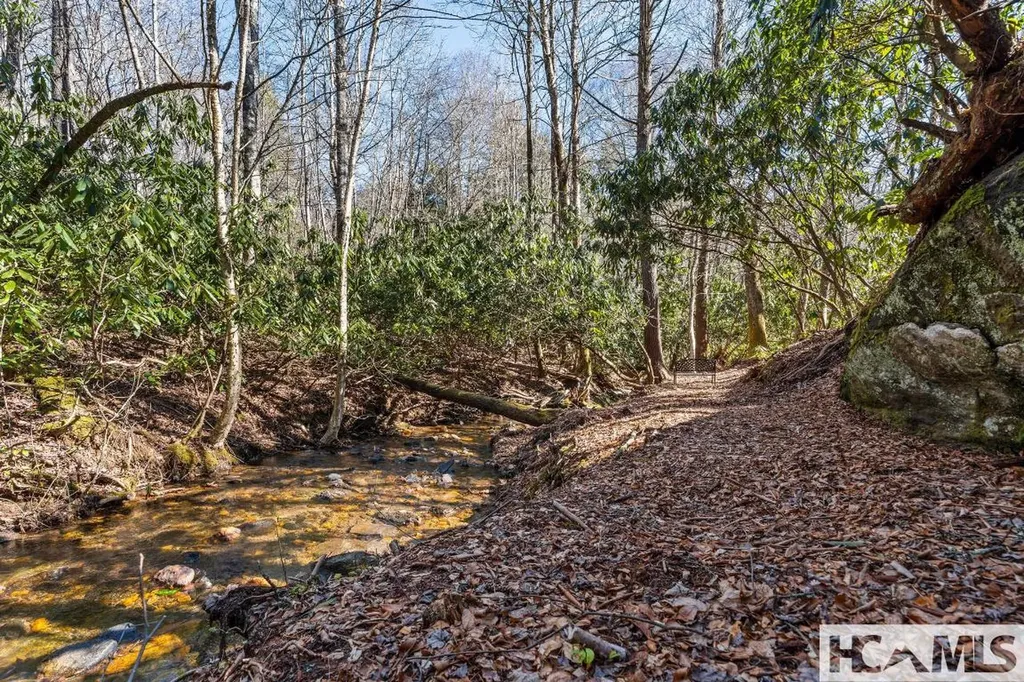 90 Jones Hollow Road 28723 Cullowhee NC 28723
