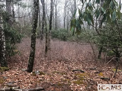 0 Cardwell-eaton Highlands NC 28741