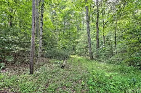 1222 Shope Road Otto NC 28763