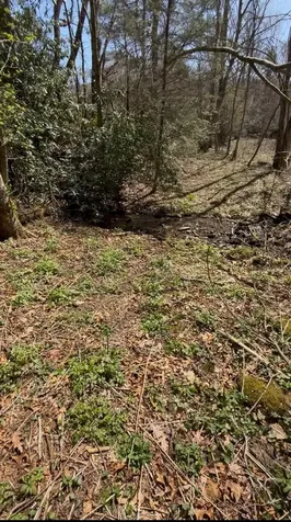 36 Coachman Drive Road Tuckasegee NC 28783