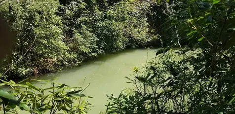 36 Coachman Drive Road Tuckasegee NC 28783