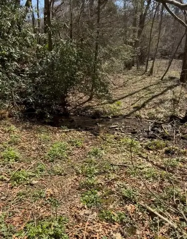 36 Coachman Drive Road Tuckasegee NC 28783