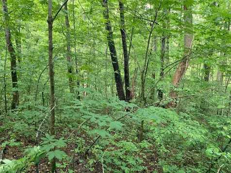 Tbd Charles Sondheimer Road Franklin NC 28734