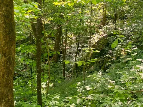 Tbd Charles Sondheimer Road Franklin NC 28734