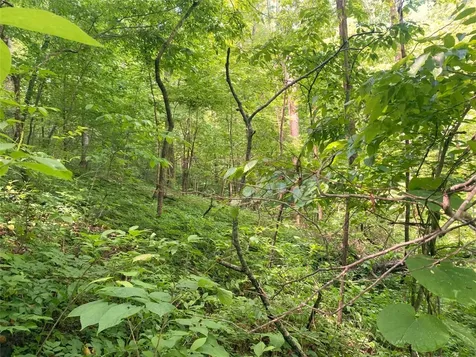 Tbd Charles Sondheimer Road Franklin NC 28734