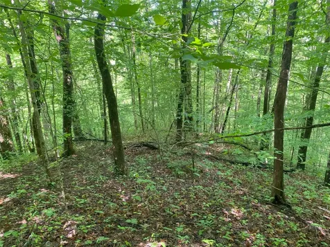 Tbd Charles Sondheimer Road Franklin NC 28734