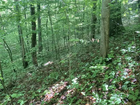 Tbd Charles Sondheimer Road Franklin NC 28734