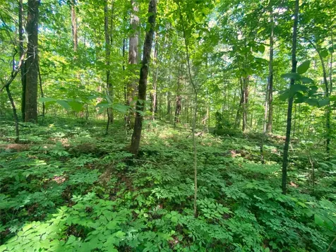 Tbd Charles Sondheimer Road Franklin NC 28734