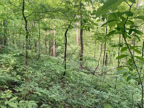 Tbd Charles Sondheimer Road Franklin NC 28734