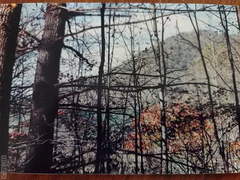 Tbd Charles Sondheimer Road Franklin NC 28734