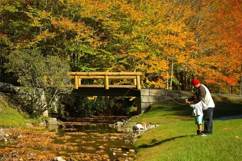 27 Receptive Drive Glenville NC 28736