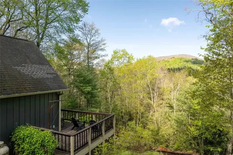 1457 Norton Road Cashiers NC 28717