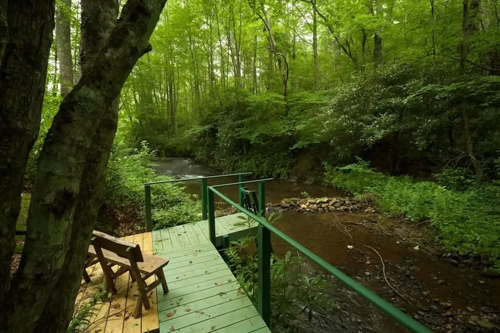 60 Bartram Trail Scaly Mountain NC 28775