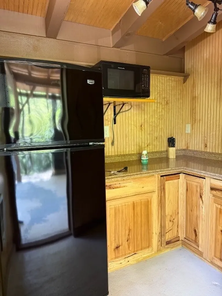 60 Bartram Trail Scaly Mountain NC 28775