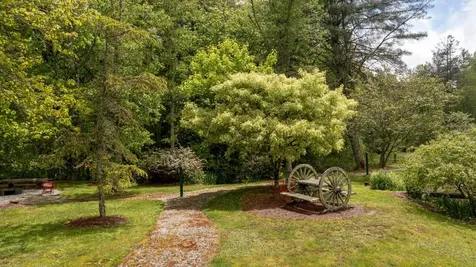 60 Bartram Trail Scaly Mountain NC 28775