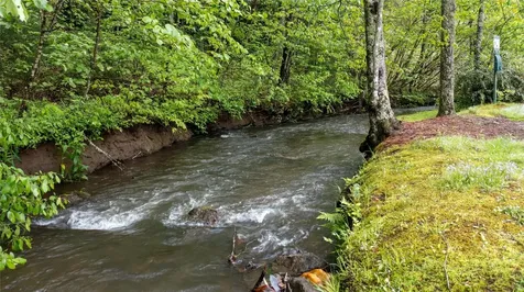 60 Bartram Trail Scaly Mountain NC 28775