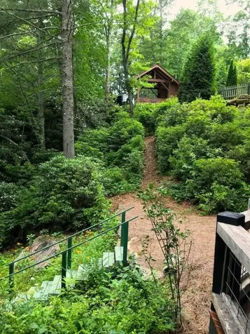 60 Bartram Trail Scaly Mountain NC 28775