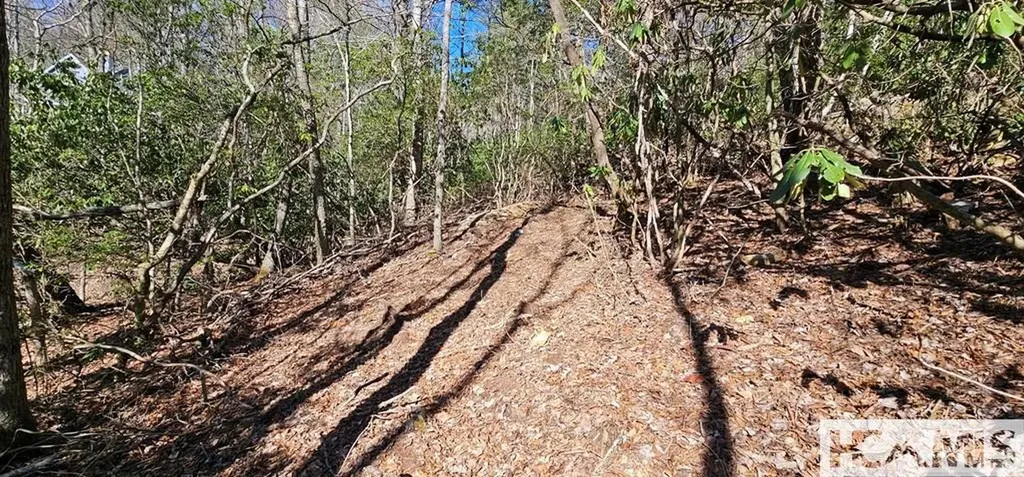Lot 138 N Buckberry Drive North Cashiers NC 28774