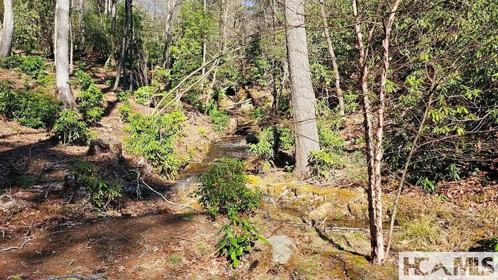 Lot 138 N Buckberry Drive North Cashiers NC 28774